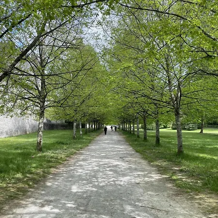 Duplex 2 Lejlighed *