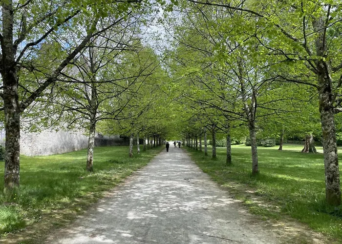 Duplex 2 Lejlighed *